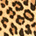 leopard kengt